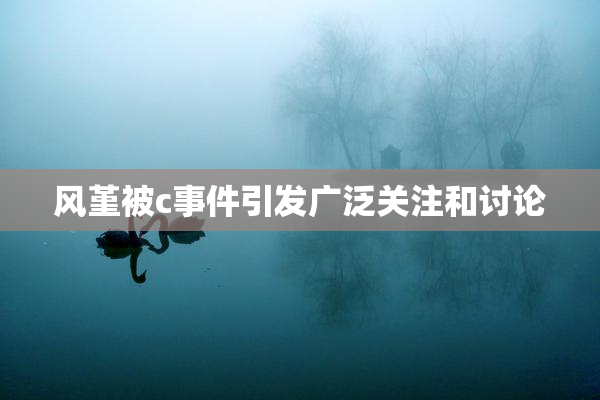 风堇被c事件引发广泛关注和讨论