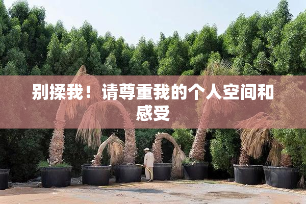 别揉我！请尊重我的个人空间和感受