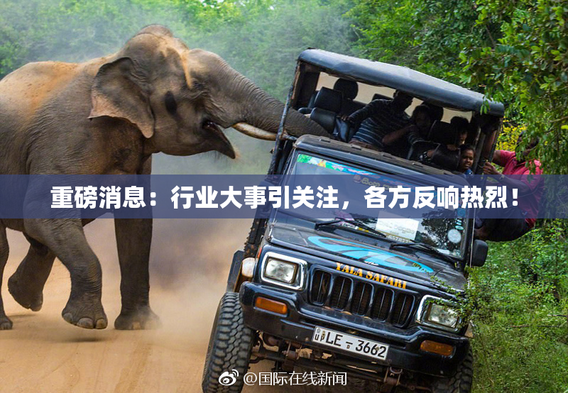 重磅消息：行业大事引关注，各方反响热烈！