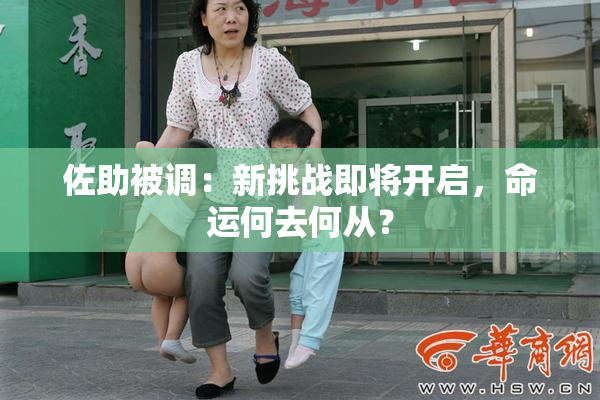 佐助被调：新挑战即将开启，命运何去何从？