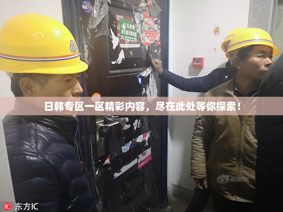 日韩专区一区精彩内容，尽在此处等你探索！