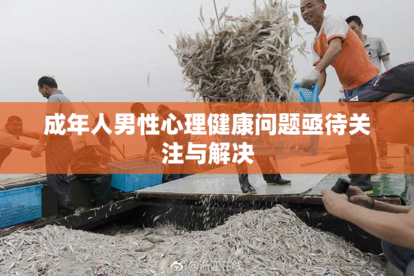成年人男性心理健康问题亟待关注与解决