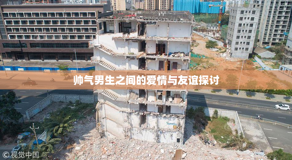 帅气男生之间的爱情与友谊探讨