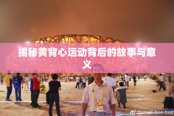 揭秘黄背心运动背后的故事与意义