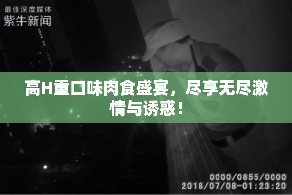 高H重口味肉食盛宴，尽享无尽激情与诱惑！