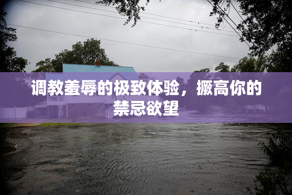 调教羞辱的极致体验，撅高你的禁忌欲望