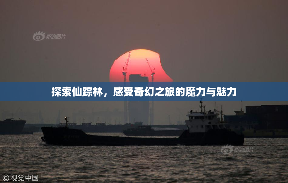 探索仙踪林，感受奇幻之旅的魔力与魅力