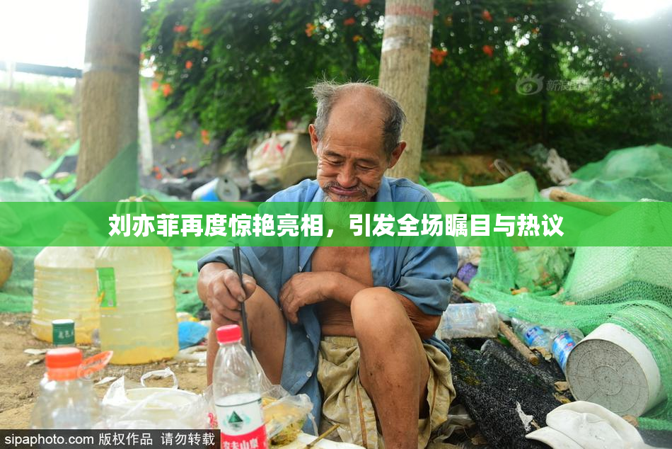 刘亦菲再度惊艳亮相，引发全场瞩目与热议