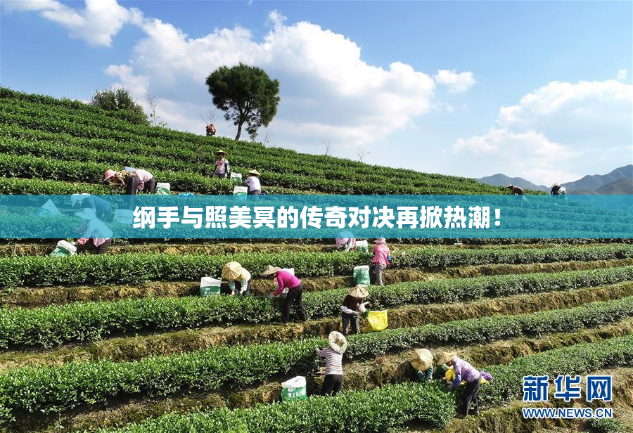 纲手与照美冥的传奇对决再掀热潮！