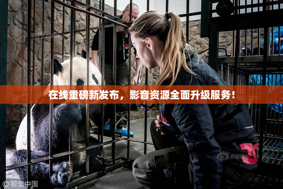 在线重磅新发布，影音资源全面升级服务！