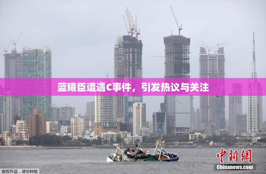 蓝曦臣遭遇C事件，引发热议与关注