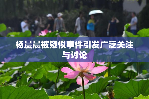 杨晨晨被疑似事件引发广泛关注与讨论