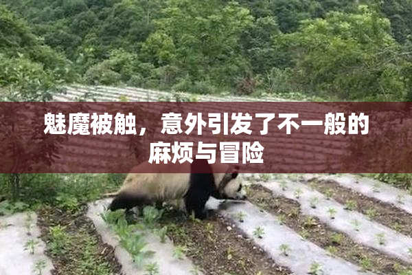 魅魔被触，意外引发了不一般的麻烦与冒险