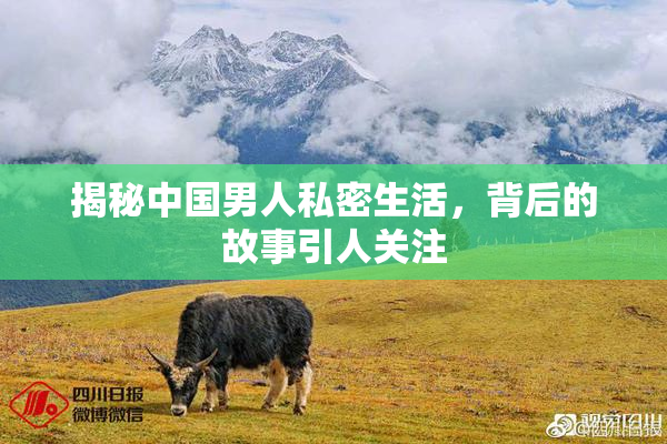 揭秘中国男人私密生活，背后的故事引人关注