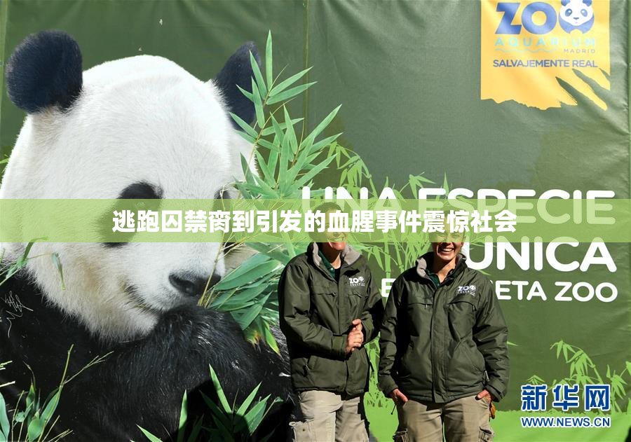 逃跑囚禁脔到引发的血腥事件震惊社会