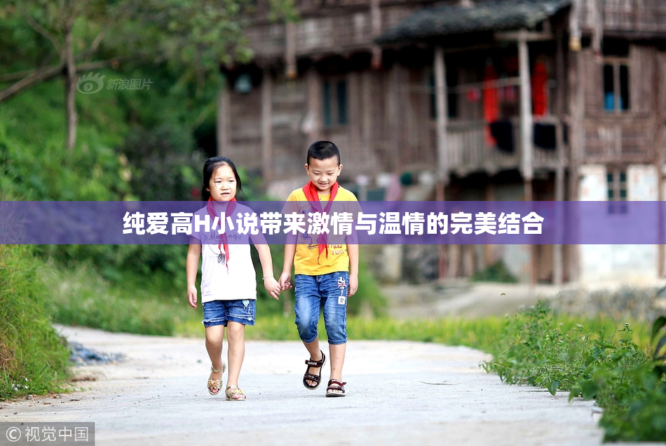 纯爱高H小说带来激情与温情的完美结合