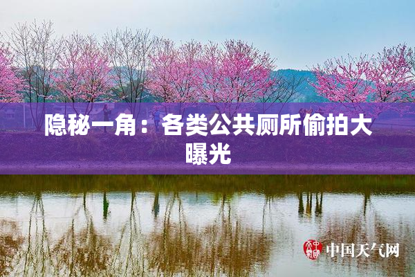 隐秘一角：各类公共厕所偷拍大曝光