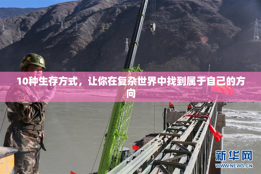 10种生存方式，让你在复杂世界中找到属于自己的方向