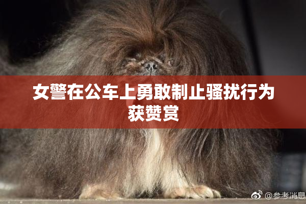 女警在公车上勇敢制止骚扰行为获赞赏