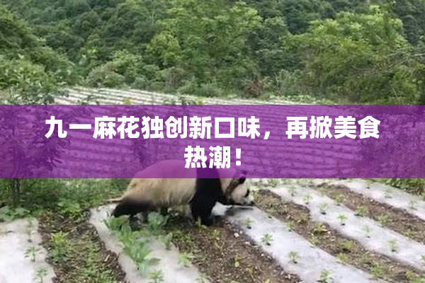 九一麻花独创新口味，再掀美食热潮！