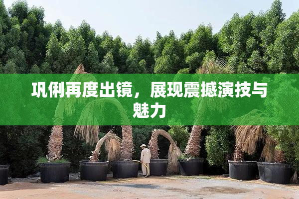 巩俐再度出镜，展现震撼演技与魅力
