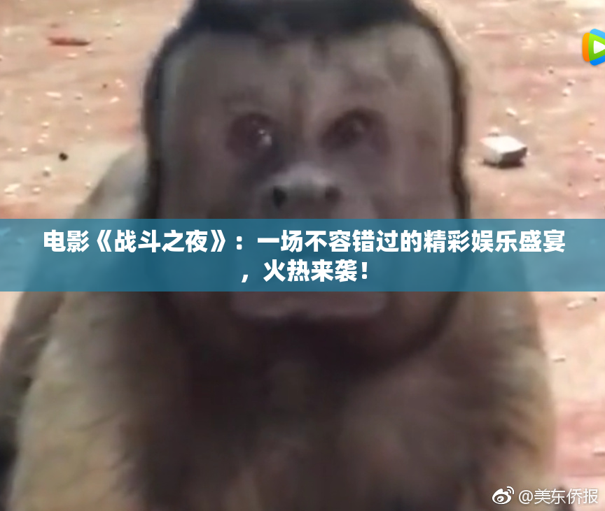 电影《战斗之夜》：一场不容错过的精彩娱乐盛宴，火热来袭！