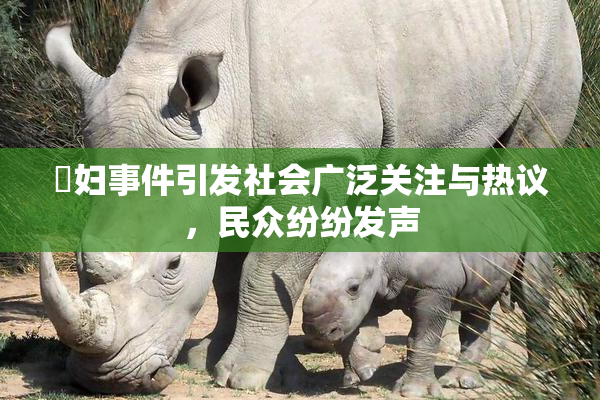 婬妇事件引发社会广泛关注与热议，民众纷纷发声