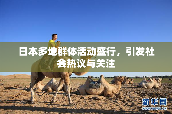 日本多地群体活动盛行，引发社会热议与关注