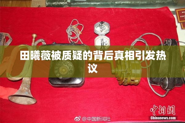 田曦薇被质疑的背后真相引发热议