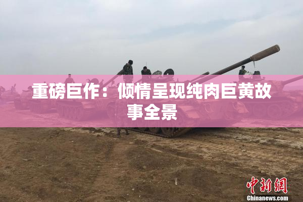 重磅巨作：倾情呈现纯肉巨黄故事全景
