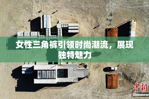 女性三角裤引领时尚潮流，展现独特魅力