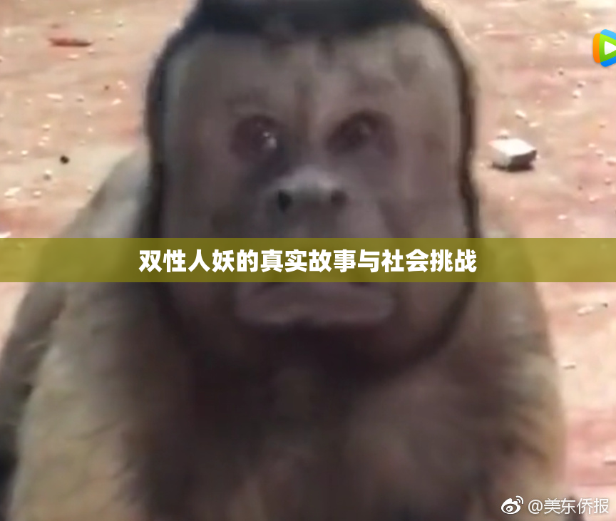 双性人妖的真实故事与社会挑战