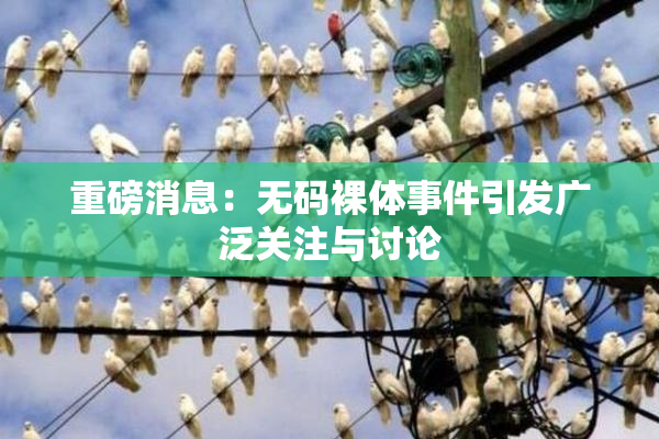 重磅消息：无码裸体事件引发广泛关注与讨论