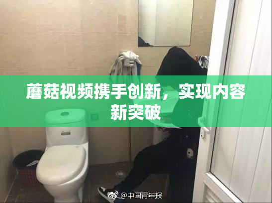蘑菇视频携手创新，实现内容新突破