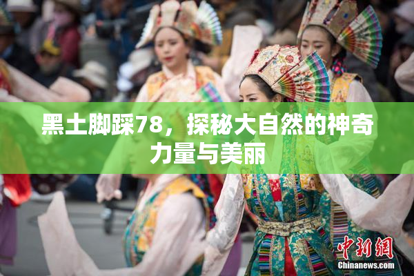 黑土脚踩78，探秘大自然的神奇力量与美丽