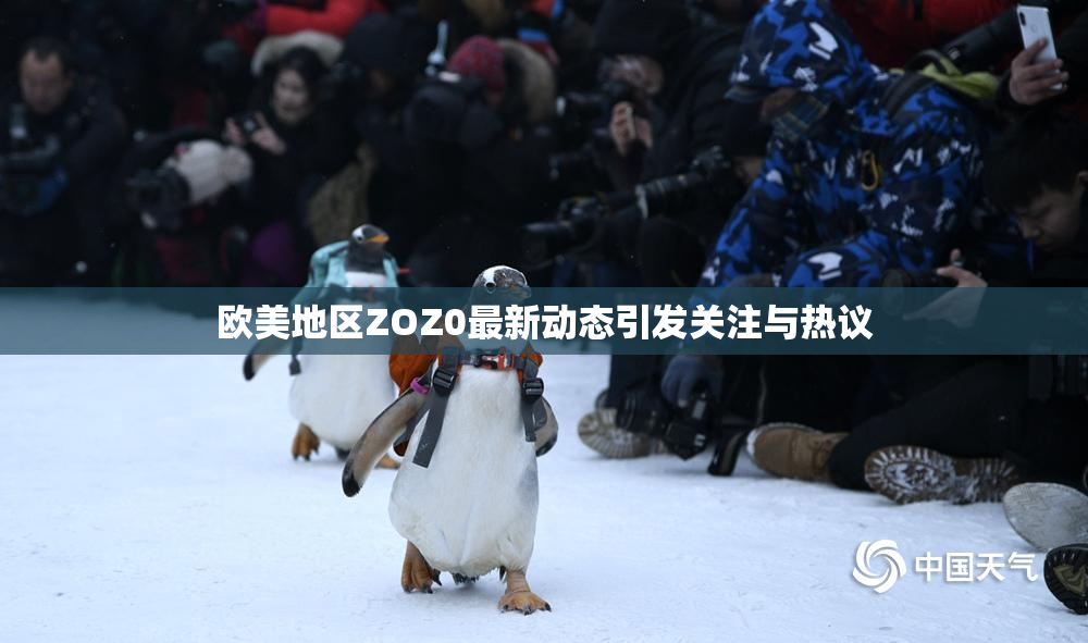 欧美地区ZOZ0最新动态引发关注与热议