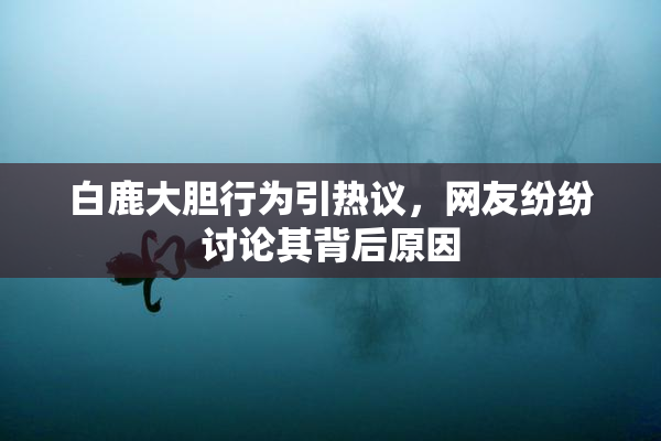 白鹿大胆行为引热议，网友纷纷讨论其背后原因