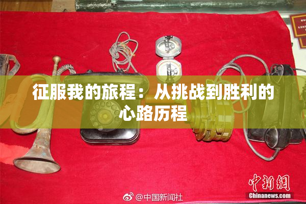 征服我的旅程：从挑战到胜利的心路历程