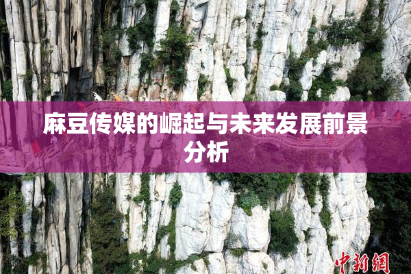 麻豆传媒的崛起与未来发展前景分析