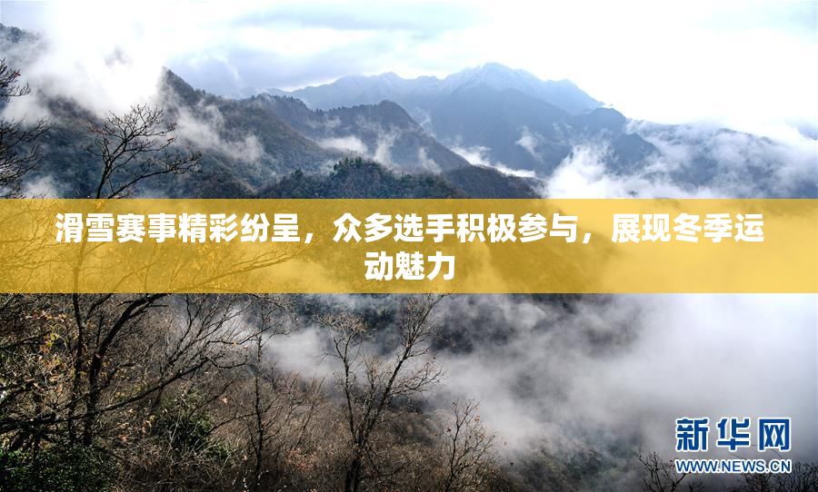 滑雪赛事精彩纷呈，众多选手积极参与，展现冬季运动魅力