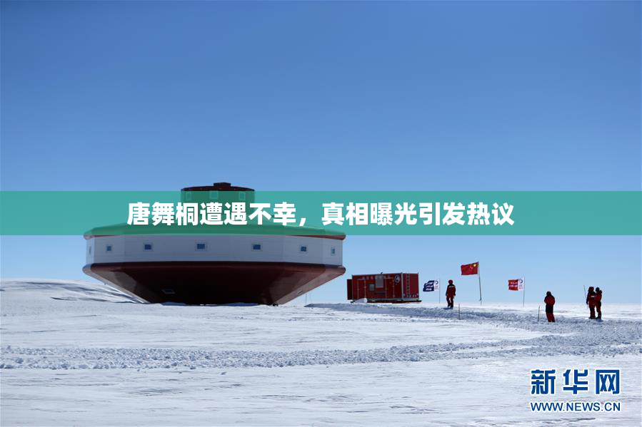 唐舞桐遭遇不幸，真相曝光引发热议