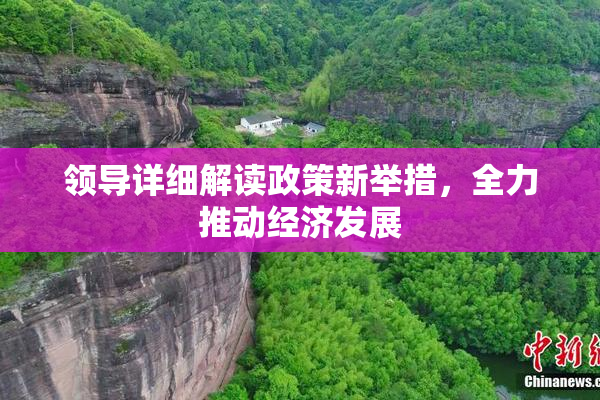 领导详细解读政策新举措，全力推动经济发展
