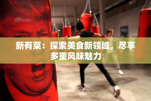 新有菜：探索美食新领域，尽享多重风味魅力