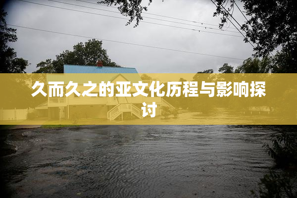 久而久之的亚文化历程与影响探讨