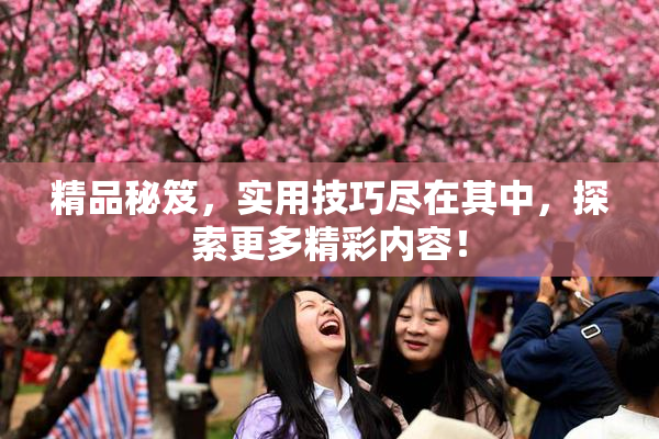 精品秘笈，实用技巧尽在其中，探索更多精彩内容！