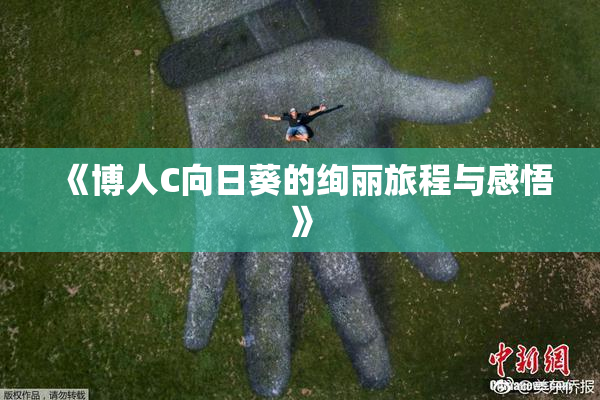 《博人C向日葵的绚丽旅程与感悟》