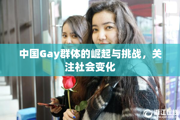 中国Gay群体的崛起与挑战，关注社会变化