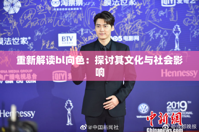 重新解读bl向色：探讨其文化与社会影响