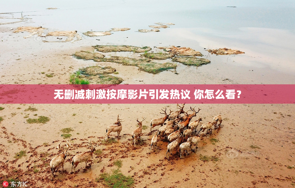 无删减刺激按摩影片引发热议 你怎么看？