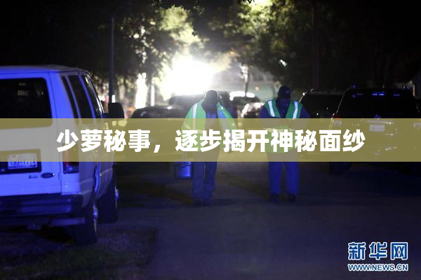 少萝秘事，逐步揭开神秘面纱